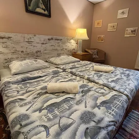 Erdei Vendeghaz Guest house