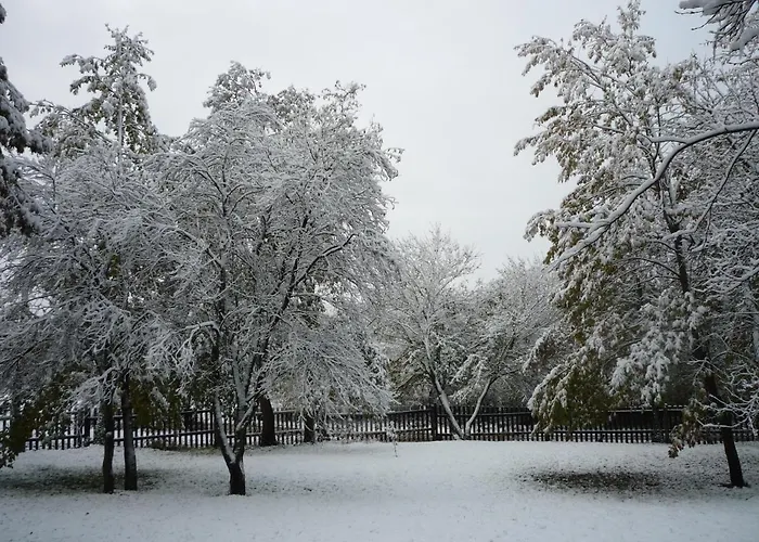 Erdei Vendeghaz Gæstehus